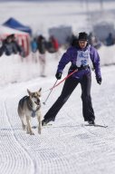 Lenk 2013